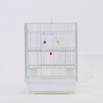 십자매 사각 [6a 2013]