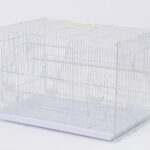 날림장 (중) [420 (bulk)(single) (wt)(bl)(pk)(iv)]