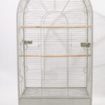 앵무 대형장 [2001]