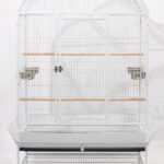 구름장 (대) [2740]