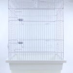 잉꼬 손놀이장 (대) [mb3]