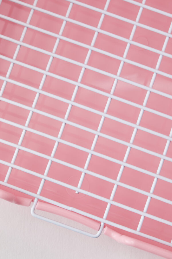 토끼 화장실 [921] (Blue)(Ivory)(Pink)