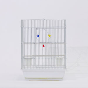 십자매 사각 [6a 2013]