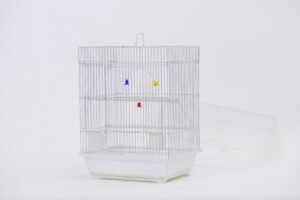 십자매 사각 [6a 2013]