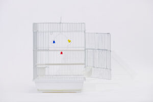 십자매 사각 [6a 2013]