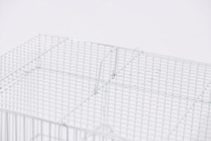 십자매 사각 [6a 2013]