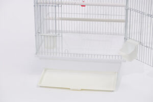 십자매 사각 [6a 2013]