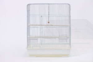 앵무사각장(대) [a804 (bulk)(single)(double)