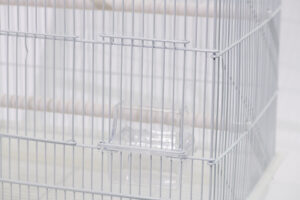 앵무사각장(대) [a804 (bulk)(single)(double)