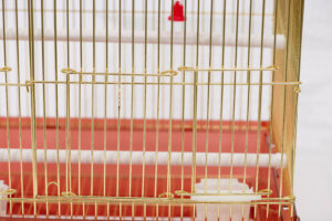 빌라장 (대) [a801 (wht)(gold)]