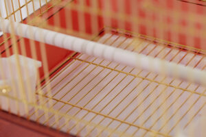 빌라장 (대) [a801 (wht)(gold)]