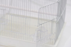 빌라장 (대) [a801 (wht)(gold)]