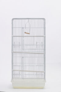 앵무사각장(대) [a804 (bulk)(single)(double)