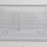 날림장 (대) [4200 (bulk)(single)]